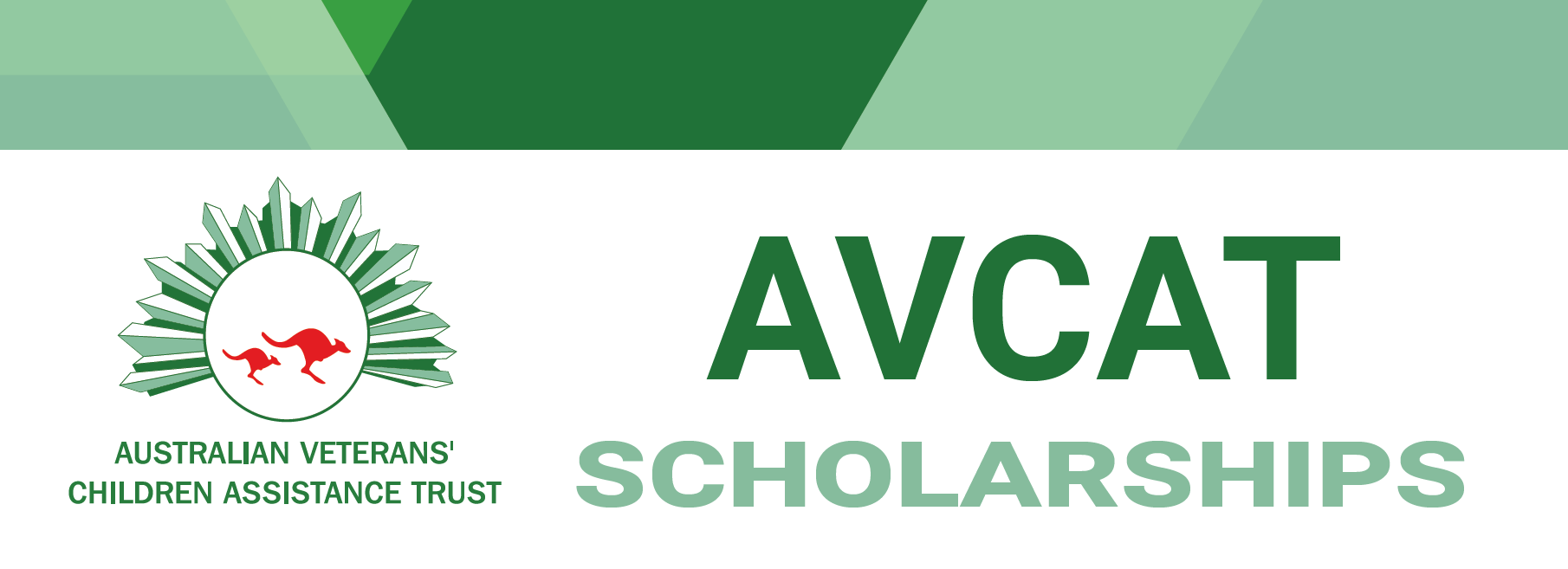 AVCAT Scholarship Program
